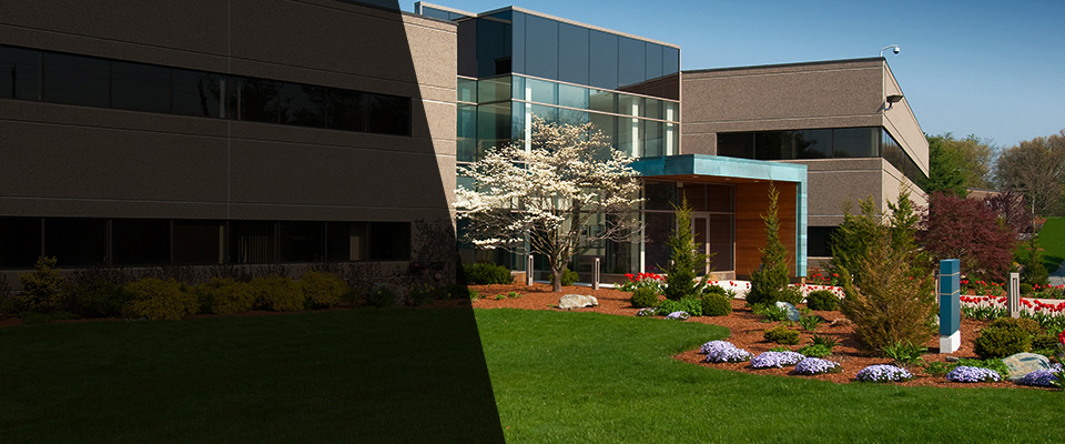 Rio Rancho Landscapers