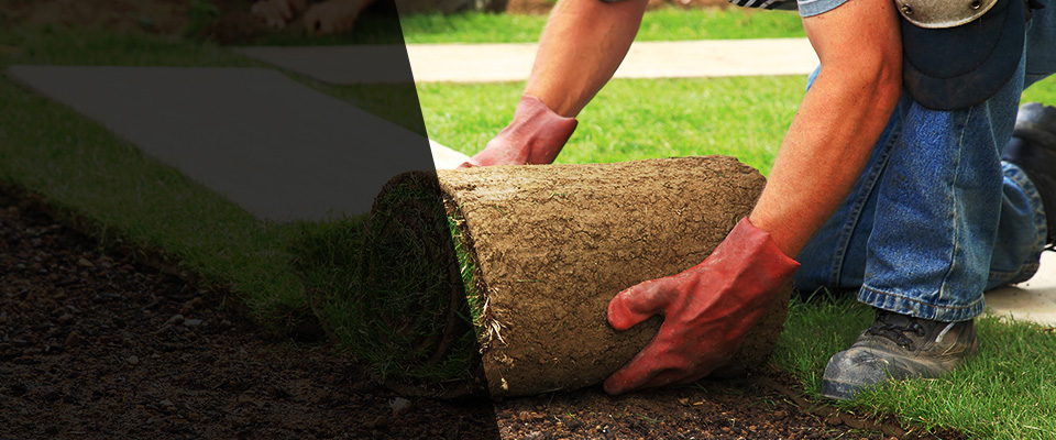 Rio Rancho Landscapers